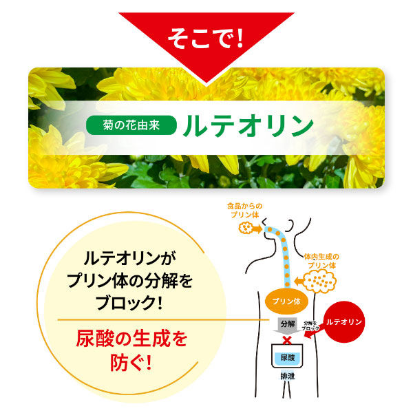 【機能性表示食品】DUEN 糖脂セーブ 60粒 30日分 6袋 機能性表示食品 DUEN 糖脂セーブ 60粒 30日分 4袋｜Yahoo!フリマ