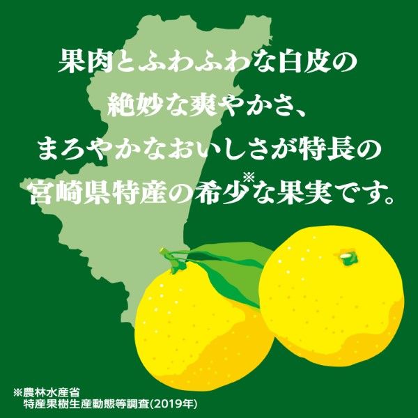 伊藤園 日向夏 宮崎県産 500g ニッポンエール 1セット（48本