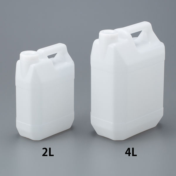 激レア！ホリダ　白中斑　3.5寸 7月25日 中国産 ホワイトタイガーショートテールオランダ 11-13