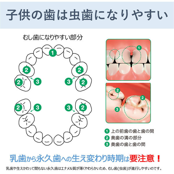 バトラー エフペースト こども フルーツミント味 70g 1セット（2本