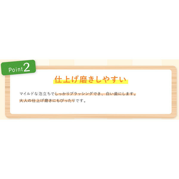 シャボン玉 こども せっけんハミガキ みかん味 50g 1セット（2本