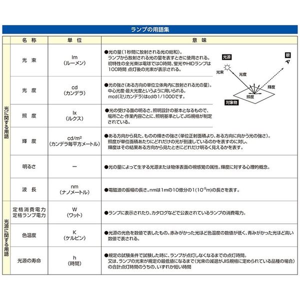 エスコ [充電式] フラッシュライト/LED(黒) EA758SG-68 1個（直送品