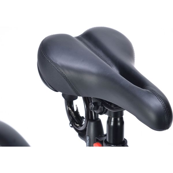 池商 折畳セミファットバイク20・6段ギア MF-208-BK 1台（直送品