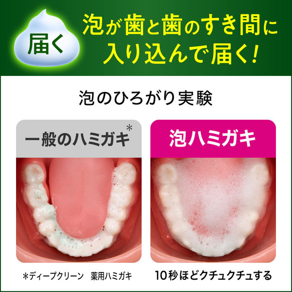 ディープクリーン 薬用 泡ハミガキ 190ml 2個 花王 歯槽膿漏 口臭予防