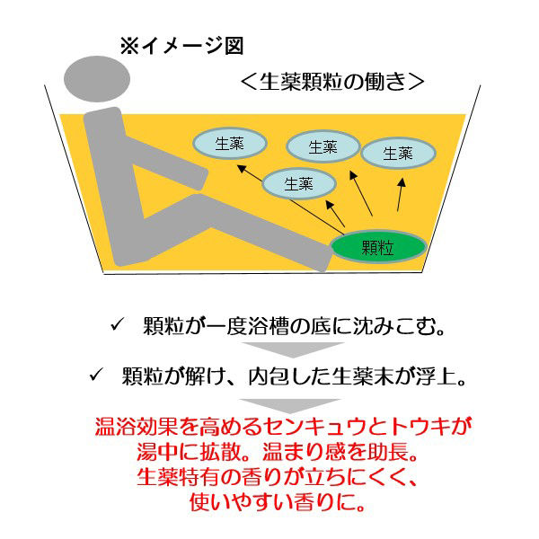 バスクリン 薬湯 じんわり保温感 シトラスジンジャーの香り 600g
