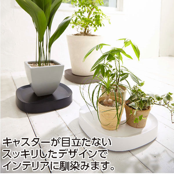 テラモト tidy（ティディ） 植木鉢トレー plantable（プランタブル