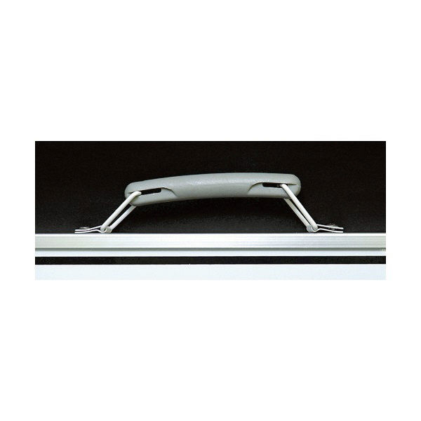 忍ページ　2点 ホワイトボード GSW 30×45cm 横 77369 1セット（2個） シンワ