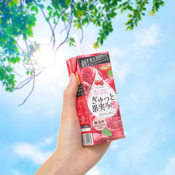 エルビー ぎゅっと果実プラ酢 ざくろミックス 200ml紙パック×24