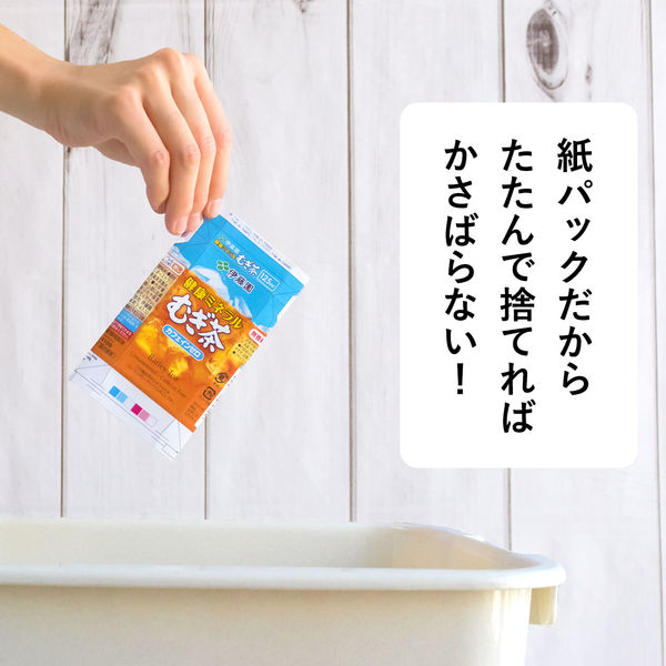 Amazon | 健康ミネラルむぎ茶 250ml紙パック96本入 | 伊藤園
