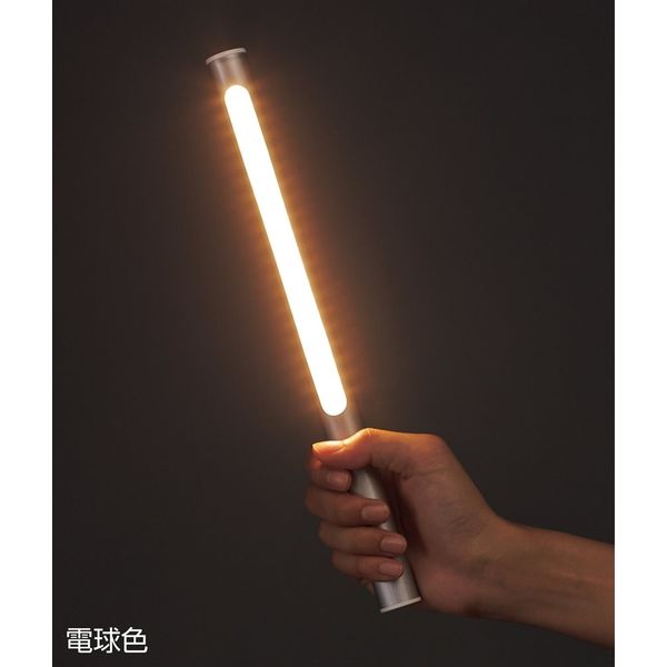 YAN さん専用 日本緑十字社 LEDライト LED Magic Wand(マジックワンド) シルバー 22Φ