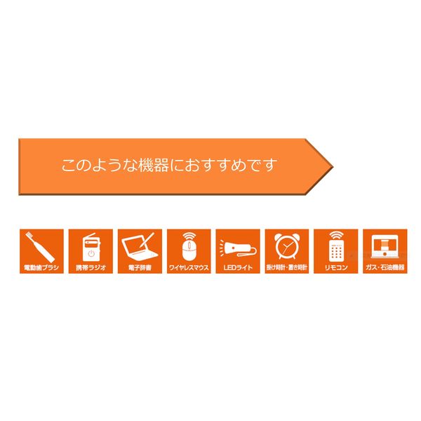 東芝 東芝（TOSHIBA）アルカリ乾電池 単3形 2本パック（シュリンク