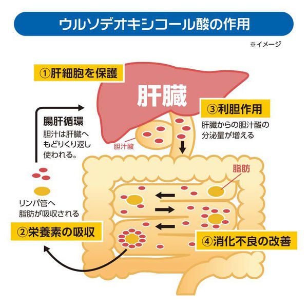 レバウルソ 180錠 佐藤製薬 肝臓水解物・ウルソデオキシコール酸