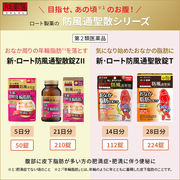 楽天市場】スタディーホリック STUDY HOLIC クリアカバー付箋 ST