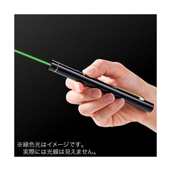 サンワサプライ レーザーポインター 200-LPP022 緑色レーザー