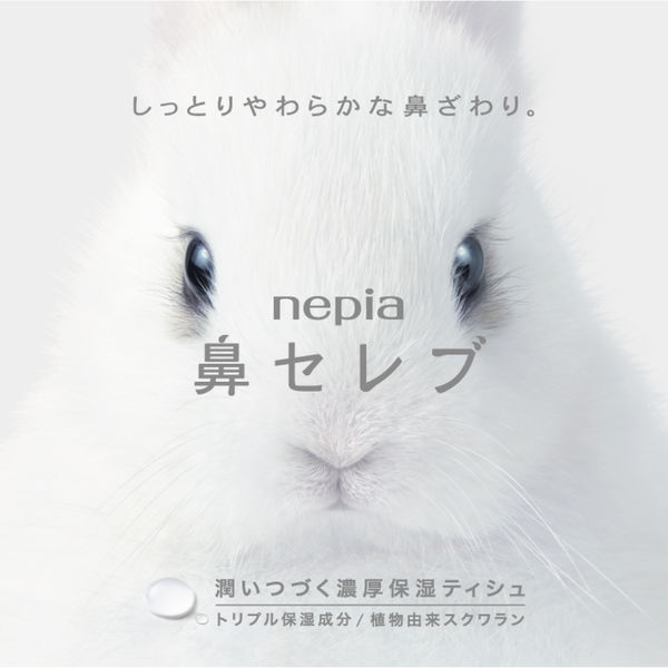 新品 ❶❼箱 高級 やわらか質感 ネピア 鼻セレブ プレミアム ティッシュ soukai_4901121636191