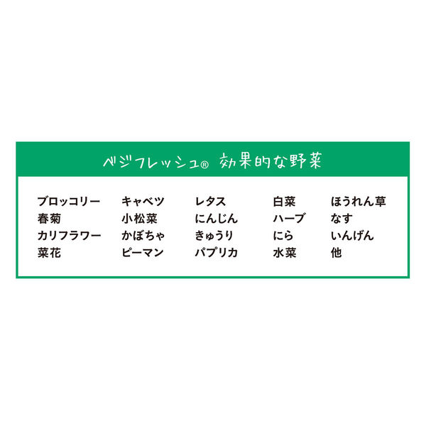 ホリックス　ベジフレッシュ　チャック付　野菜専用　鮮度保持袋　Lサイズ　141721　1袋（5枚入）