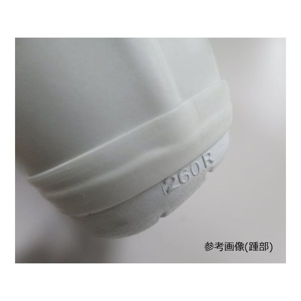 ゴールドウイン ACファスナー付きセーフティブーツW 25cm PA9655-W-250