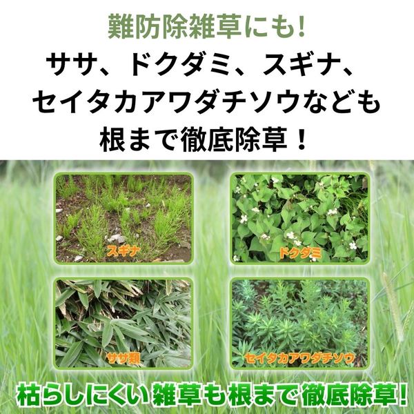 住友化学園芸 草退治メガロングシャワーGT 除草剤 4.8L 1セット 住友化学園芸 草退治メガロングシャワーGT 除草剤 4.8L 1セット