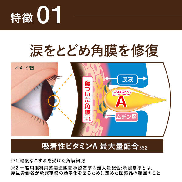 スマイル40プレミアムDX 15mL ライオン 目薬 年齢・酷使による眼