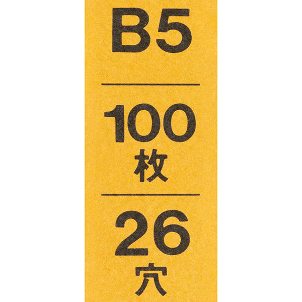 コクヨ 一色刷りルーズリーフ B5 応用帳 リ-307 1セット（200枚：100枚 