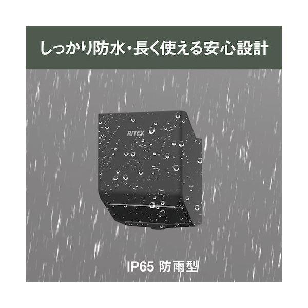 ムサシとコジロウ SR 未使用　　24時間以内発送 ムサシコジロウが！？ロケット団解散後に変化が！【ポケモンLet