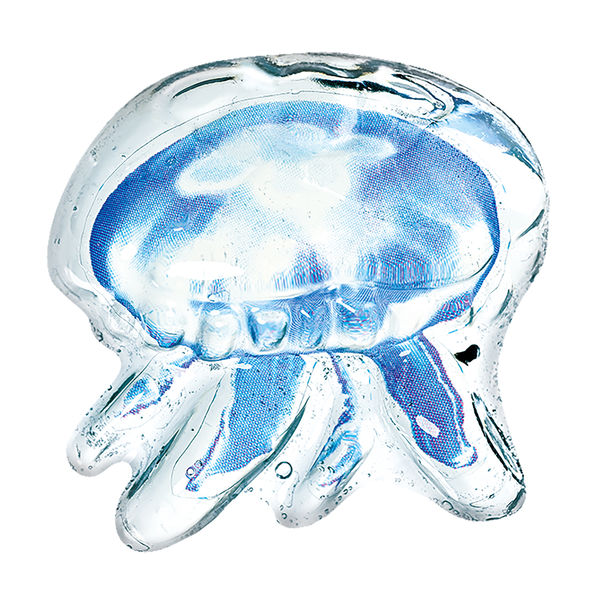 クツワ 透明標本せっけんをつくろう・生物 PT211B 1個 - アスクル