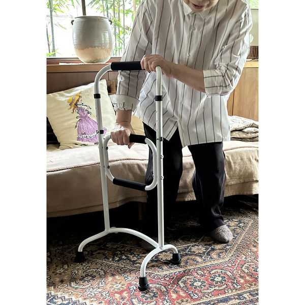 Fuji Home 立ち上がり補助器具 ホワイト