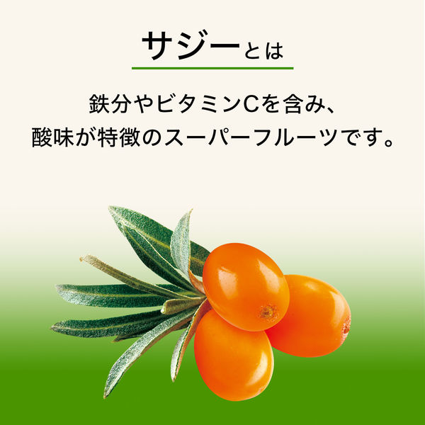 メロンちゃん専用/マンゴーとパイナップルセット Dean＆Co．】マンゴパインMix100 ｜Biople WEB
