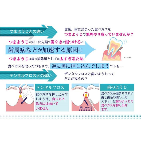 アヌシ OBー807 歯間のお掃除しま専科 歯のようじ 4544434510989