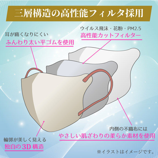 iiもの本舗 3D立体マスク スマートタイプ バイカラー