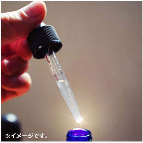 ツーウェイワールド 十美LAB ハッカ油 30mL 4540811802708 1本