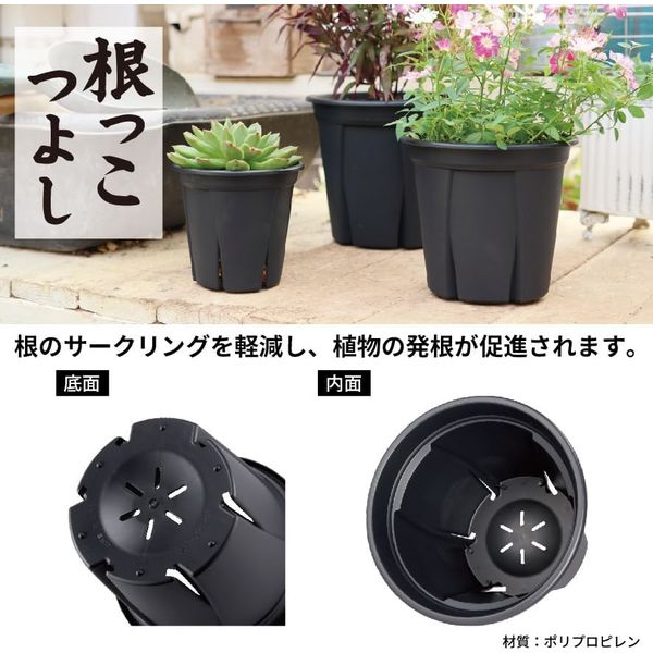 園芸用品】アップルウェアー 根っこつよし 6号 ブラック 1個