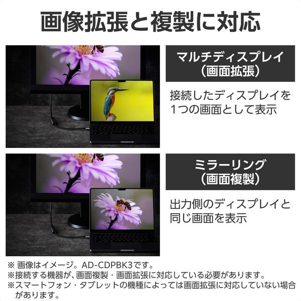エレコム 変換アダプタ DisplayPort to VGA (ミニD-Sub15pin エレコム 変換アダプタ DisplayPort to VGA (ミニD-Sub15pin