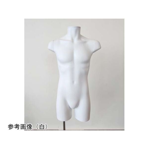 トルソー マネキン・トルソーの通販・販売｜ディスプレイプラン｜トルソー