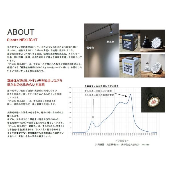 高島屋植物園 Plants NEXLIGHT PAR30 BLACK 電球色 NL-PAR303-BC95 1個