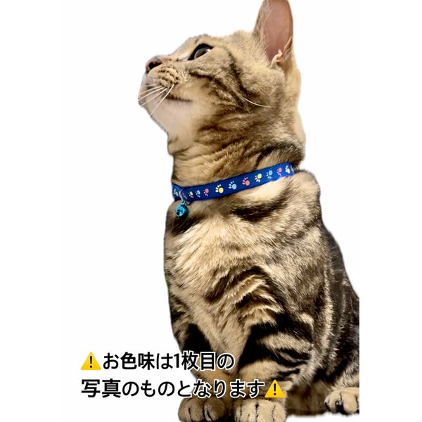 コレクション 蓄光 首輪 猫