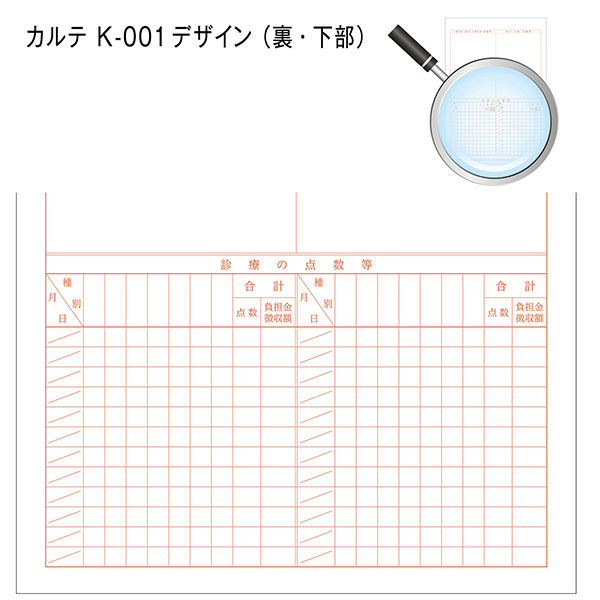 金鵄製作所 カルテ 1号(診療録) A4 社保 kー001 500枚 41012-101