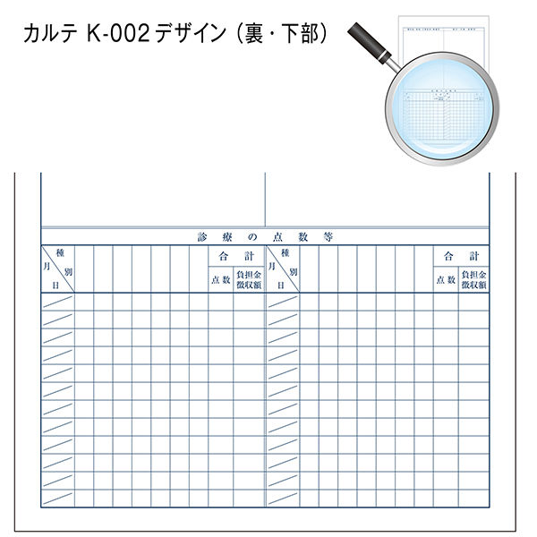 金鵄製作所 カルテ 1号(診療録) A4 国保 kー002 500枚 41012-202 1箱