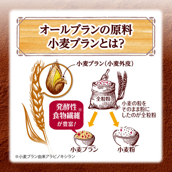 日本ケロッグ オールブラン ブランチョコフレーク 350g 1袋 日本ケロッグ オールブラン ブランチョコフレーク 350g 1袋