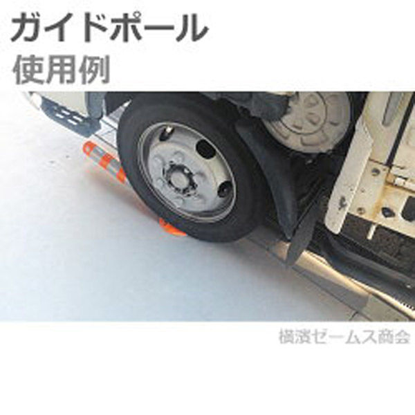 アラオ ガイドポール コンクリート用アンカー3本付 AR-1330-C
