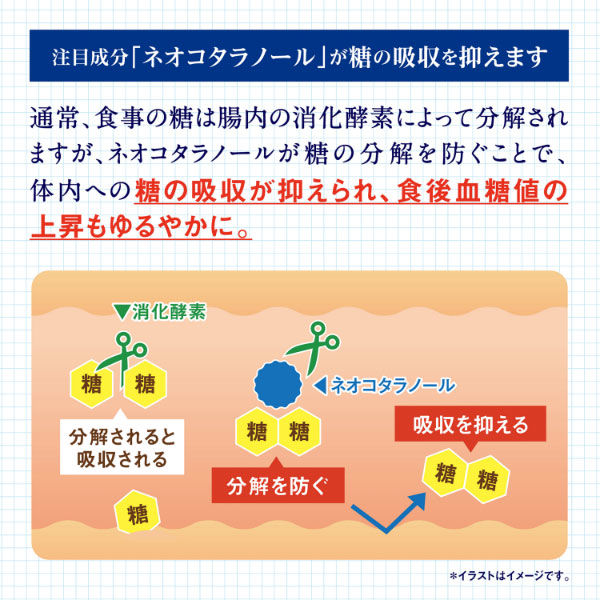 サラシア100 約40日分(120粒入り)【小林製薬の特定保健用食品