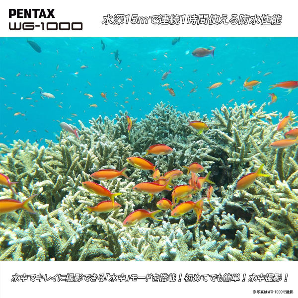 PENTAX WG-100 防水デジタルカメラ グレー 新品近い　バッテリー2個 PENTAX WG-100 防水デジタルカメラ グレー 新品近い バッテリー2