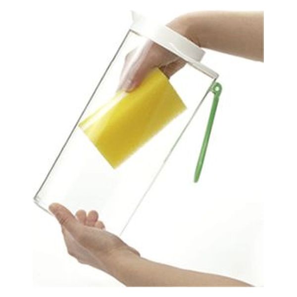 ノアロ　ポット発送☘️限定1株未株分☘️3047【新芽いっぱい⭐️超極上⭐️写楽】 YGK YGK・よつあみ XBRAID オーロラ ワカサギPE 60m 0.2, 0.3号