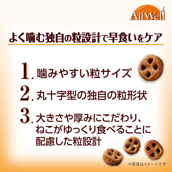 オールウェル 早食いが気になる猫用 フィッシュ味 国産 3.8kg