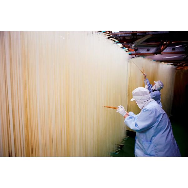 アウトレット】マルツネ 手延素麺「揖保乃糸」(色麺入)KC30 1 アウトレット】マルツネ 手延素麺「揖保乃糸」(色麺入)KC30 1