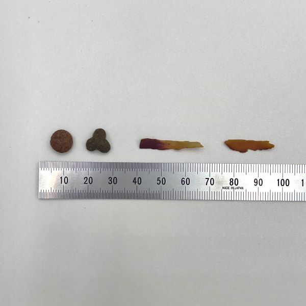 ミネット まぐろチップ&かつお節添え 国産 400g 1セット(1袋×3 ミネット まぐろチップ&かつお節添え 国産 400g 1セット(1袋×3