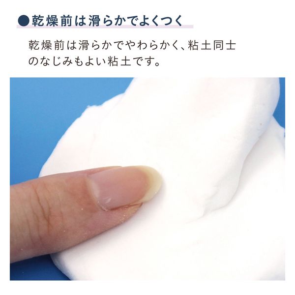 粘土ハンドブック(第三版) | 日本粘土学会 |本 | 通販 | Amazon