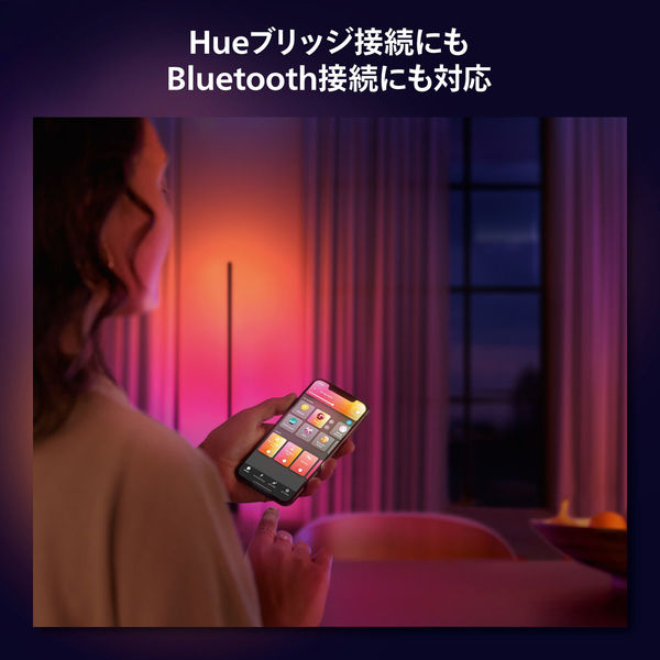 Philips Hueシグネグラデーションフロアライト ブラック PHSIFLB Philips Hue シグネ グラデーションフロアライト