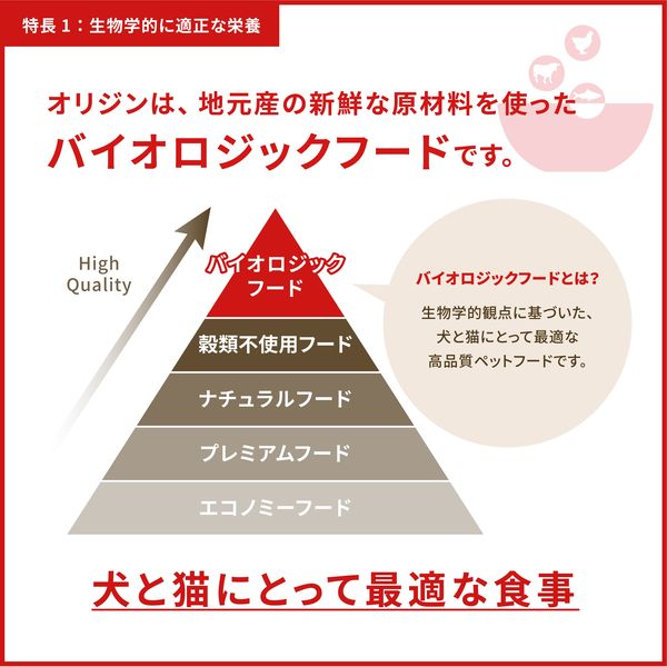 オリジン 総合栄養食 オリジナル 成犬 2kg 1袋 ORIJEN ドッグフード - アスクル