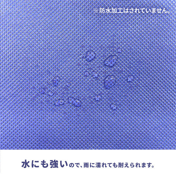 非売品☆USJ☆不織布☆コートバッグ☆(A3)☆華やか☆残1 大峽製鞄(おおばせいほう)－名刺入れ 扇マチ｜コードバン【1360